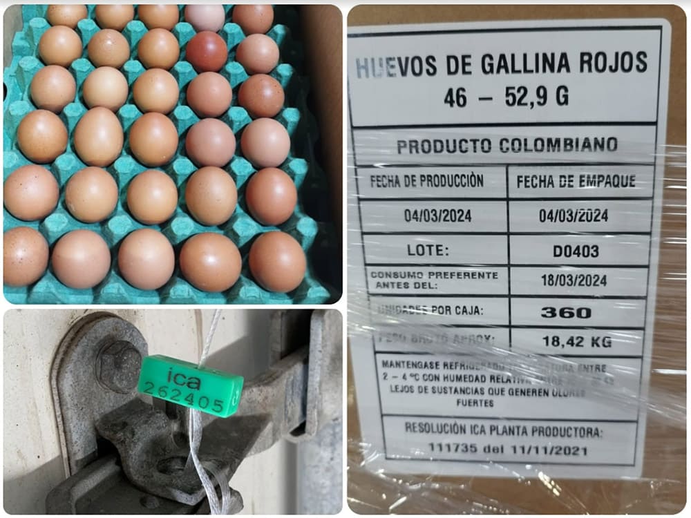 Colombia exporta por primera vez huevo a Cuba