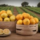 ICA, clave para la admisibilidad de productos agropecuarios a China