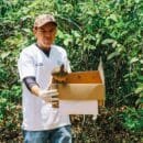 En áreas de conservación de Drummond liberan especies de fauna silvestre