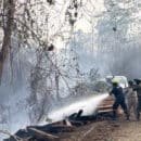 incendio forestal en San Onofre