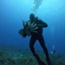 Armada de Colombia adelantó jornada de caza del Pez León