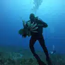 Armada de Colombia adelantó jornada de caza del Pez León