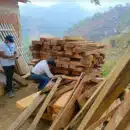 Corpamag realizó operativo contra la tala ilegal en la Sierra Nevada de Santa Marta Corpamag - operativo contra la tala ilegal en la Sierra Nevada de Santa Marta