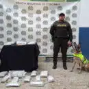 “FOX” La Canina Policial