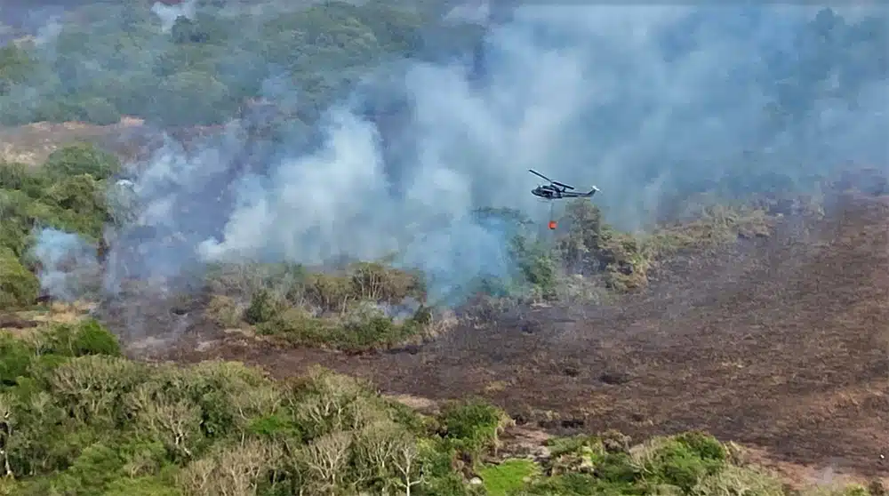 judicialización de traficantes de carbón pondrá fin a los incendios del Parque Isla de Salamanca” Gobernador Martínez