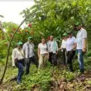 Drummond en alianza con Agroemprende Cacao