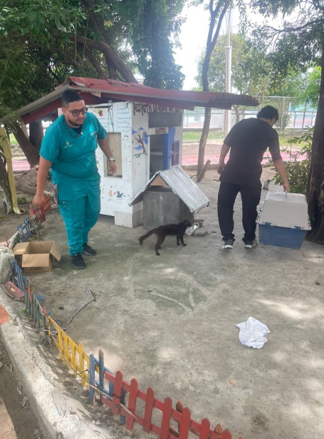 Alcaldía de Santa Marrta rechaza acto de crueldad animal en el Polideportivo