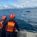 Liberada ballena enredada en un trasmallo