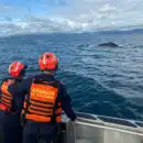 Liberada ballena enredada en un trasmallo
