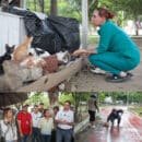 Alcaldía de Santa Marta interviene en el polideportivo