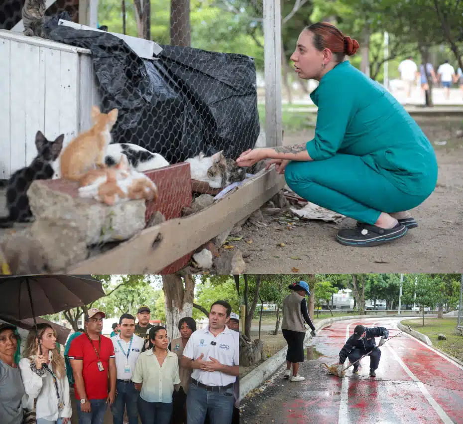 Alcaldía de Santa Marta interviene en el polideportivo