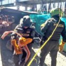 Corpamag y Policía Nacional recuperan 14 flamencos rosados y 9 gaviotas tras evidenciar su captura para posible consumo humano Corpamag y Policía Nacional recuperan 14 flamencos rosados