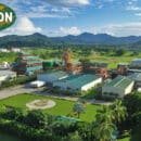 Por séptima vez, Grupo Daabon es la primera empresa del mundo en el ranking de productoras sostenibles de aceite de palma Grupo Daabon