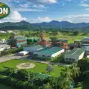 Por séptima vez, Grupo Daabon es la primera empresa del mundo en el ranking de productoras sostenibles de aceite de palma Grupo Daabon