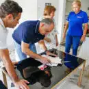 Centro de Vida del Adulto Mayor en la Localidad 3 es una realidad