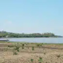 Corpamag autoriza a los alcaldes el cierre transitorio del flujo de agua de las ciénagas