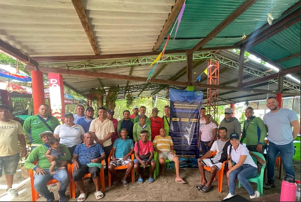 Corpamag lidera acciones para preservar tiburones, rayas y quimeras