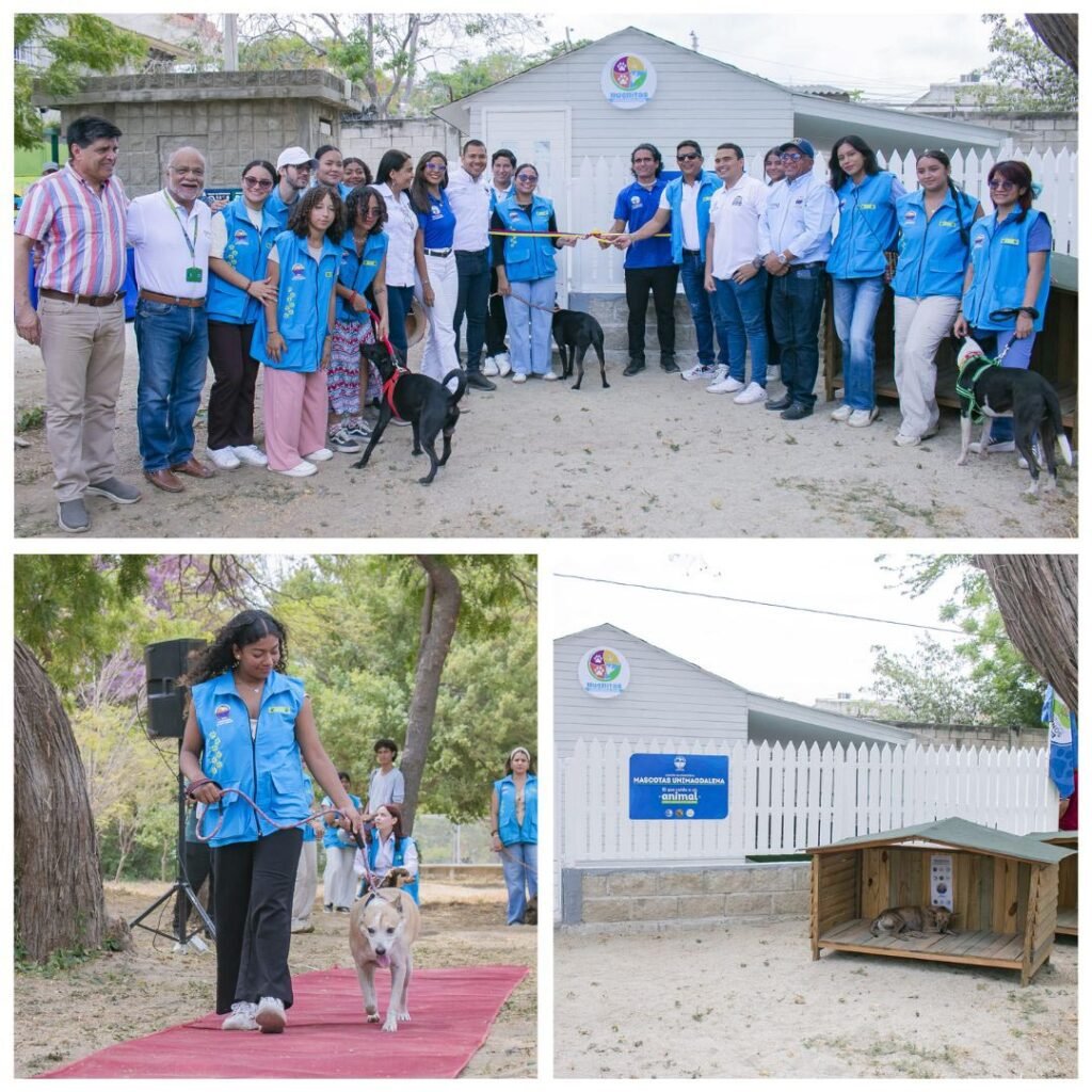 Centro de Atención a Mascotas