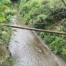 Corpamag aclara situación sobre extracción de arena en el Río Manzanares