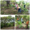 Corpamag se pronuncia frente a denuncias por talas en el corregimiento de Bonda denuncias por talas en el corregimiento de Bonda