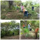 Corpamag se pronuncia frente a denuncias por talas en el corregimiento de Bonda denuncias por talas en el corregimiento de Bonda