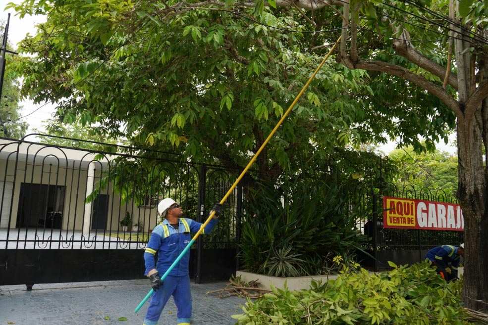 Air-e Intervenida intensifica poda de árboles