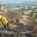 Alerta por incendios de cobertura vegetal - Ogricc