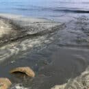 Corpamag inspecciona vertimiento de aguas residuales domésticas en Playa Salguero, sector Rodadero Sur Corpamag inspecciona vertimiento de aguas residuales domésticas