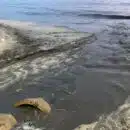 Corpamag inspecciona vertimiento de aguas residuales domésticas