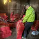 Incautados 650 kilogramos de marihuana en el Putumayo Incautados 650 kilogramos de marihuana en el Putumayo