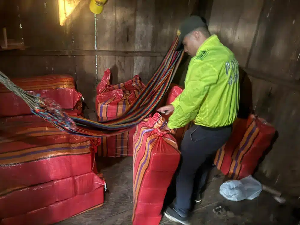 Incautados 650 kilogramos de marihuana en el Putumayo