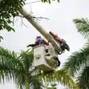 Trabajos eléctricos en zona rural de Pivijay