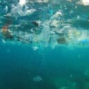 UNIMAGDALENA lidera proyecto contra los microplásticos en las playas del Caribe colombiano UNIMAGDALENA lidera proyecto contra los microplásticos