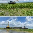 Corpamag avanza con pruebas piloto de remoción mecánica y manual de la Hydrilla en la Ciénaga Grande de Santa Marta Corpamag avanza con pruebas piloto de remoción mecánica y manual de la Hydrilla en la Ciénaga Grande de Santa Marta