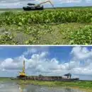 Corpamag avanza con pruebas piloto de remoción mecánica y manual de la Hydrilla en la Ciénaga Grande de Santa Marta