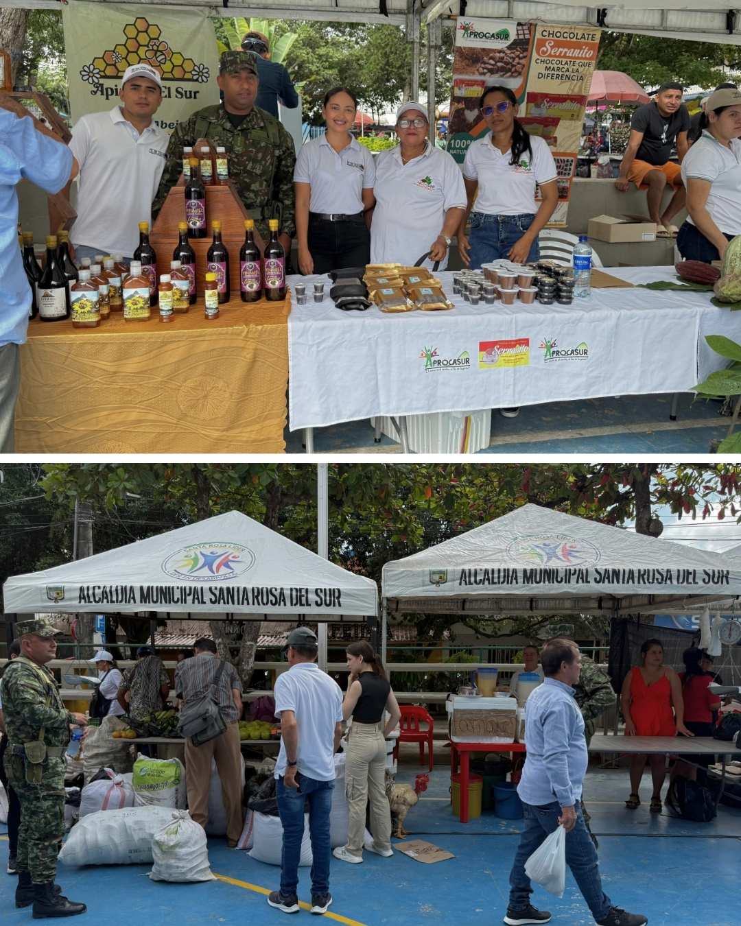 Ejército Nacional y alcaldía de Santa Rosa del Sur impulsan el desarrollo campesino en Bolívar