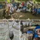 Proyecto Cultivando Futuros con Drummond fortalece las actividades productivas de 150 familias del Cesar Proyecto Cultivando Futuros con Drummond fortalece las actividades productivas de 150 familias del Cesar