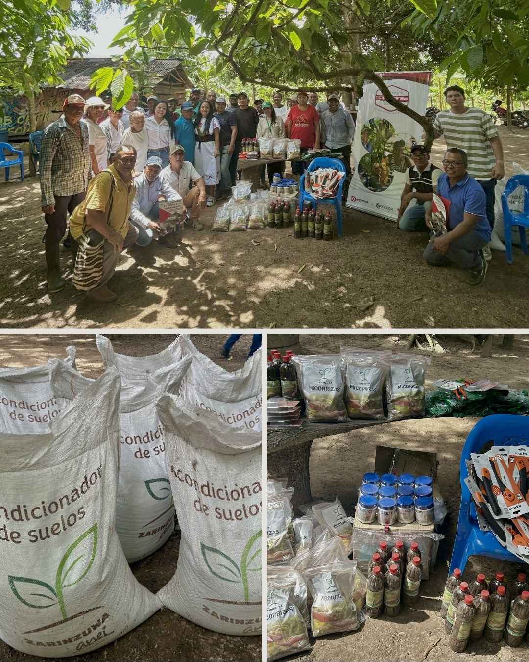 Proyecto Cultivando Futuros con Drummond fortalece las actividades productivas de 150 familias del Cesar