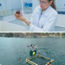 UNIMAGDALENA logra acreditación internacional ABET para el Programa de Ingeniería Pesquera