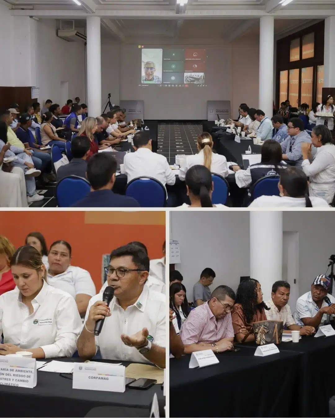 invasión de Hydrilla Verticillata en la Ciénaga Grande de Santa Marta