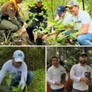 Corpamag ha sembrado más de 30 mil árboles en el Departamento del Magdalena para la restauración de ecosistemas Corpamag ha sembrado más de 30 mil árboles en el Departamento del Magdalena para la restauración de ecosistemas