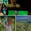 Líderes gubernamentales de Indonesia, Malasia y Latinoamérica convocan a Colombia para integrar palmicultura mundial Líderes gubernamentales de Indonesia, Malasia y Latinoamérica convocan a Colombia para integrar palmicultura mundial