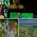 Líderes gubernamentales de Indonesia, Malasia y Latinoamérica convocan a Colombia para integrar palmicultura mundial