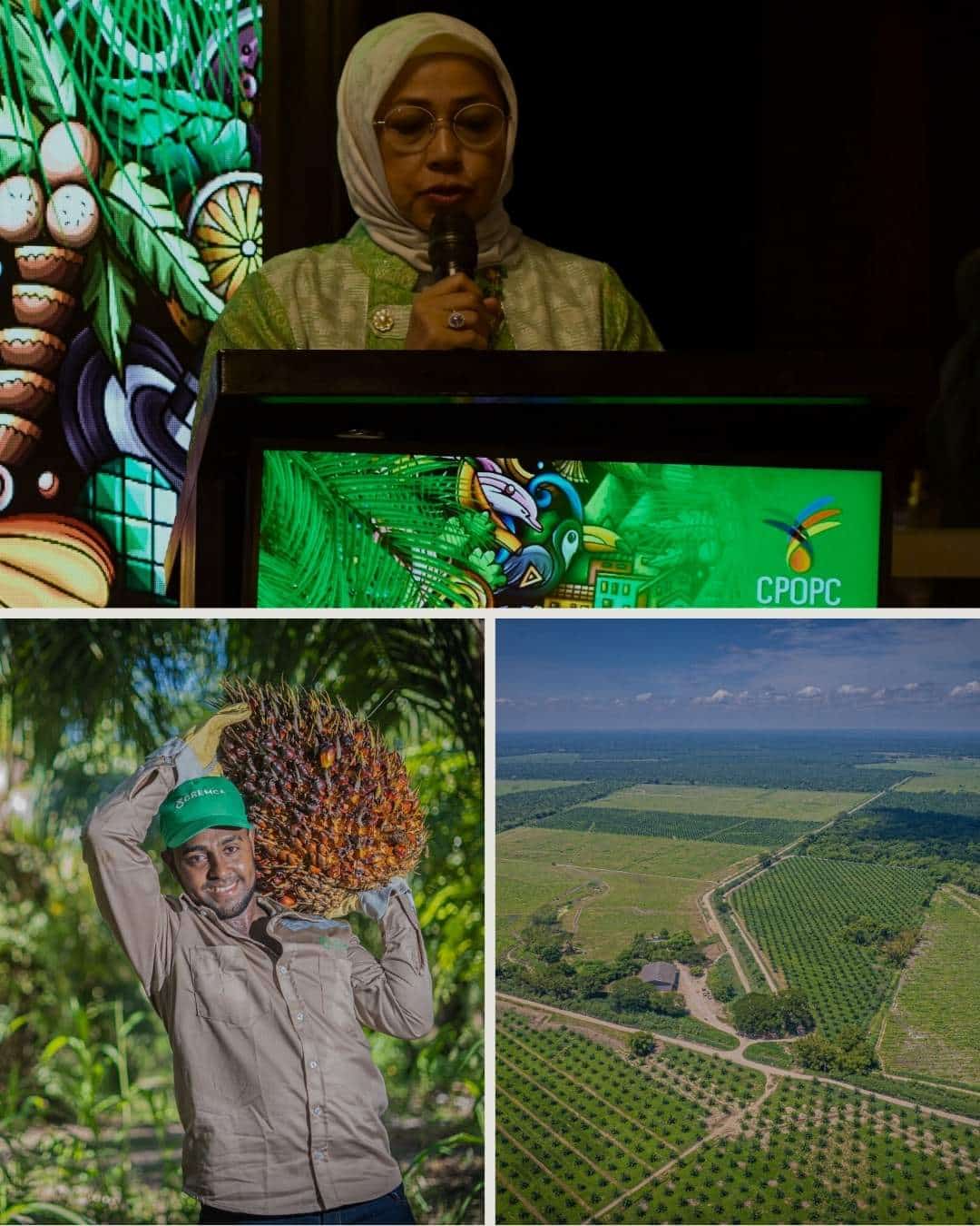 Líderes gubernamentales de Indonesia, Malasia y Latinoamérica convocan a Colombia para integrar palmicultura mundial