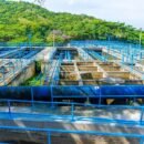 Essmar realizará mantenimientos preventivos en la PTAP El Roble para optimizar el servicio de acueducto Essmar realizará mantenimientos preventivos en la PTAP El Roble para optimizar el servicio de acueducto