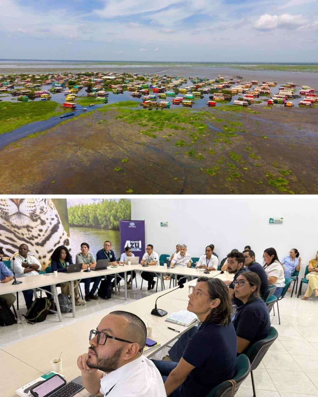 CORPAMAG lideró la socialización de resultados de las acciones frente a la presencia de Hydrilla en la Ciénaga Grande