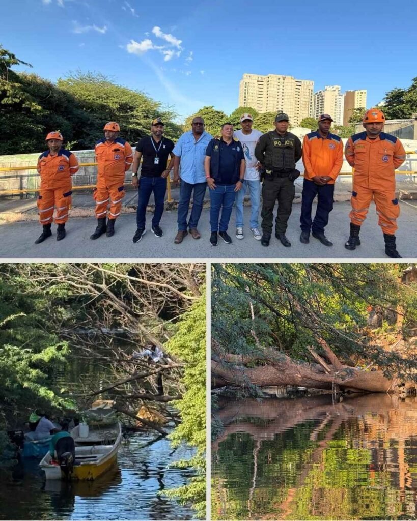 Corpamag y OGRIC lideraron jornada interinstitucional para el retiro de material vegetal y desechos en el Río Manzanares