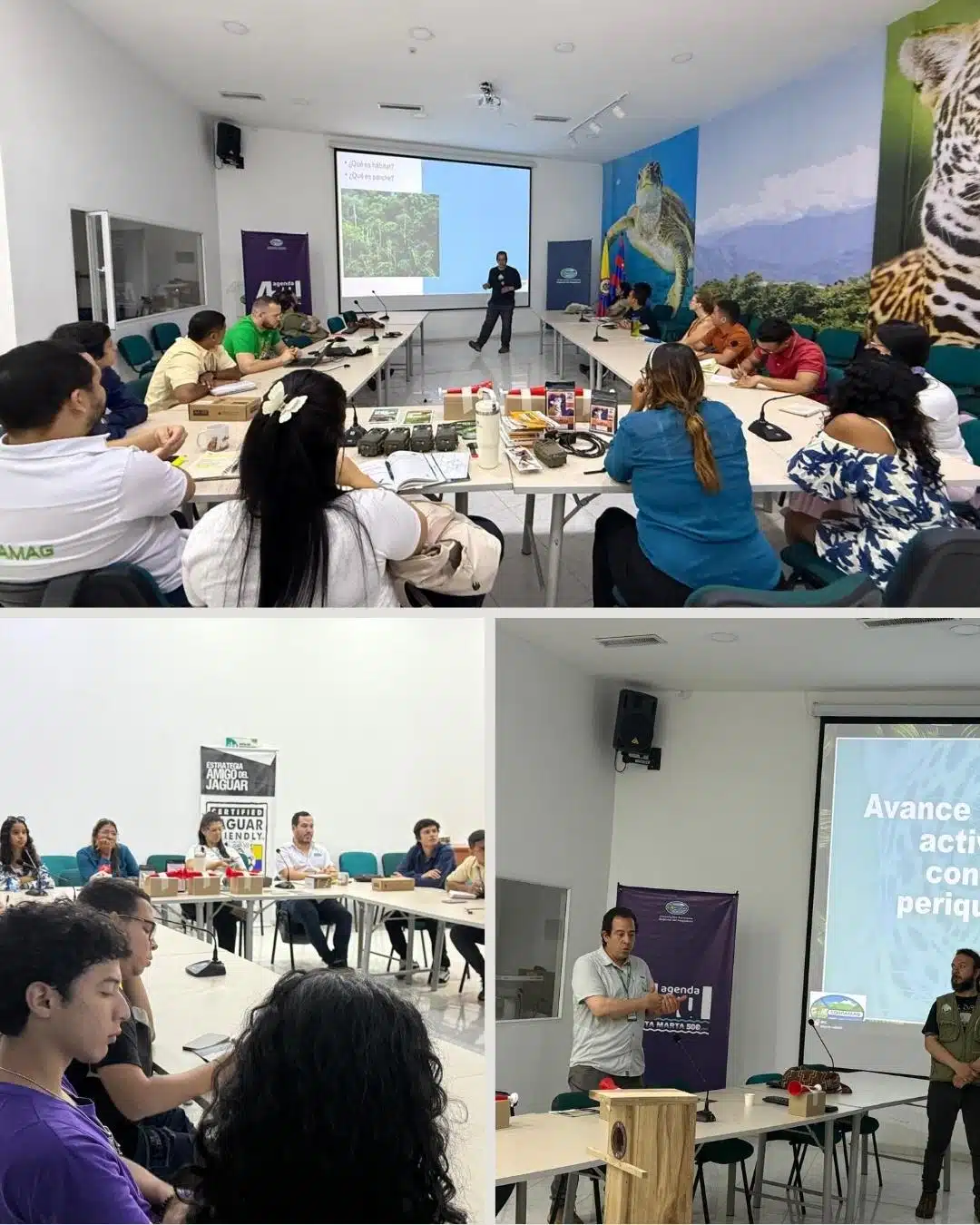 Corpamag y Procat Colombia presentan avances para la conservación del Jaguar y la Lora Serrana en la Sierra Nevada de Santa Marta