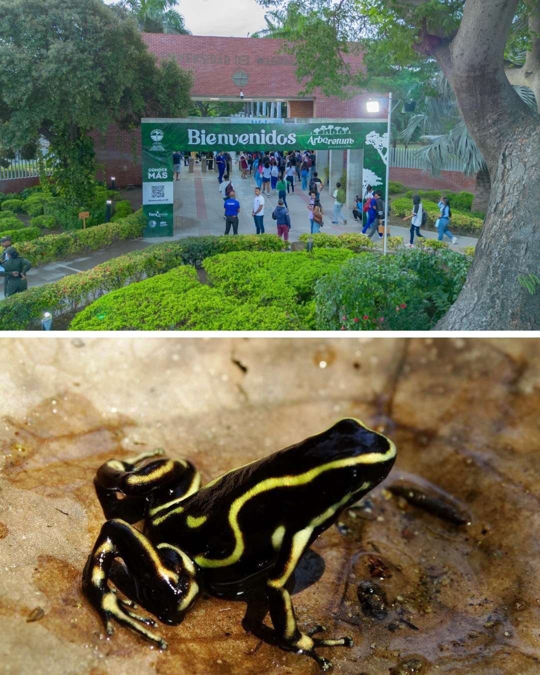 UNIMAGDALENA, epicentro de saberes sobre anfibios y reptiles con el Congreso Colombiano de Herpetología