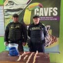 122 huevos de iguana fueron decomisados por la policía en Puebloviejo y entregados al centro de fauna de Corpamag